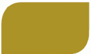 LATINA ESMALTE ORO GALON