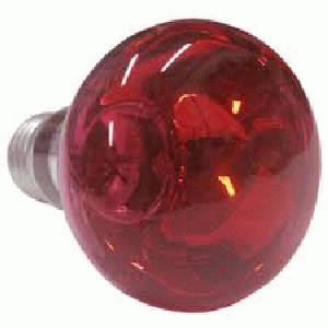 FOCO REFLECTOR INFRAROJO ROJO 250W-120V JOSTIN